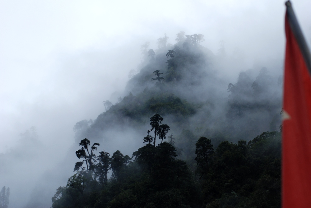dsc_0833.jpg