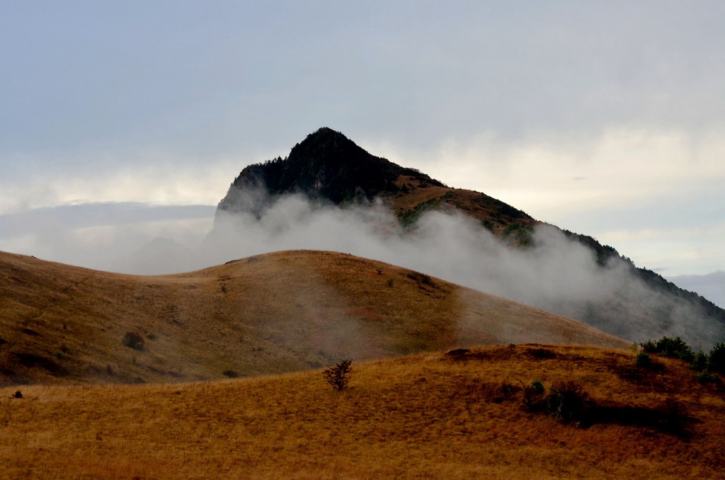 dsc_1089.jpg