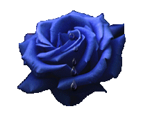 xinsrc_1811011010598433178126.gif