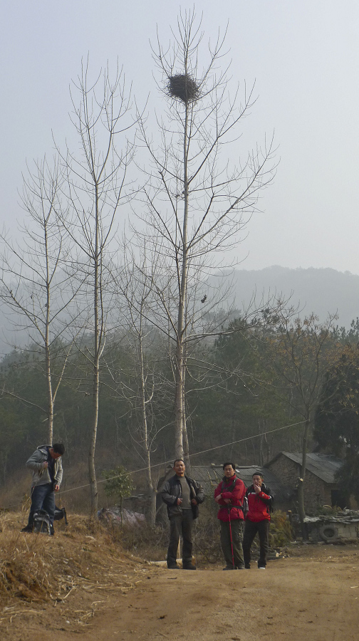 p1100649.jpg