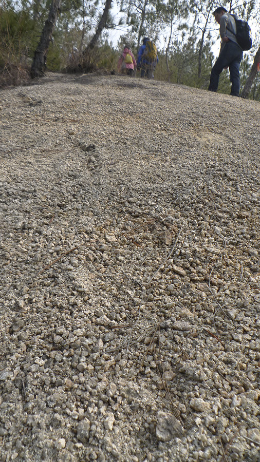 p1100659.jpg