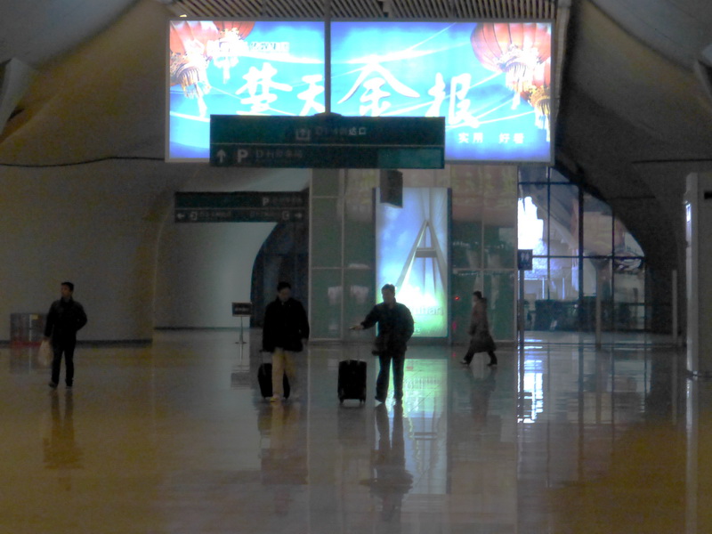 p1000973.jpg