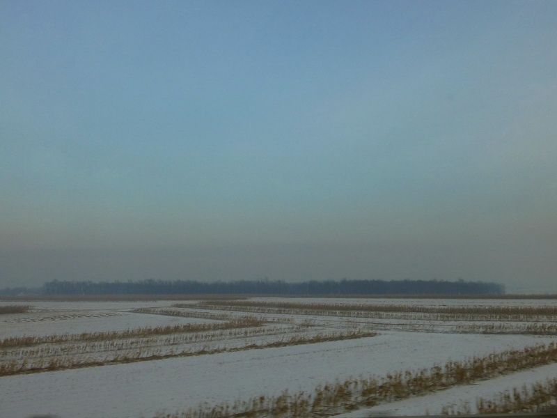 p1010022.jpg