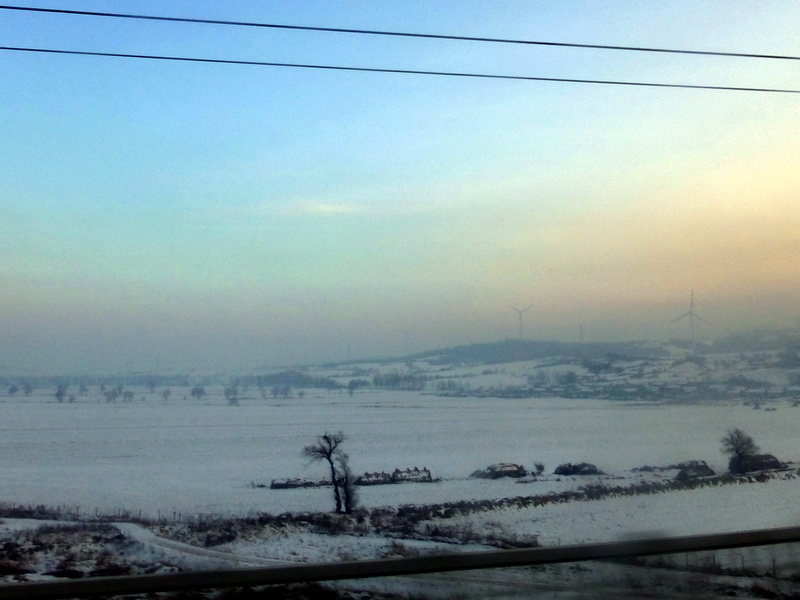 p1010029.jpg
