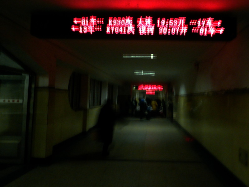 p1010053.jpg
