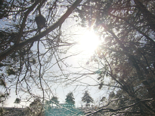 p1050215.jpg
