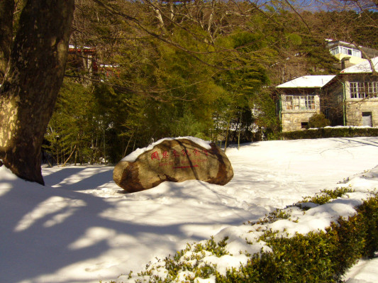 p1050332_.jpg