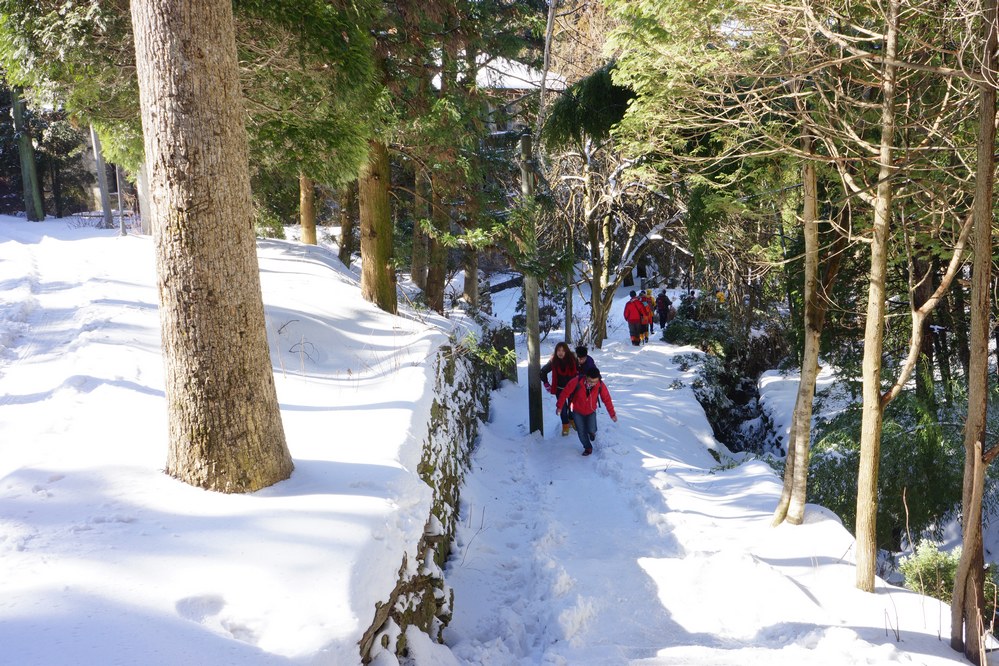 庐山55.jpg