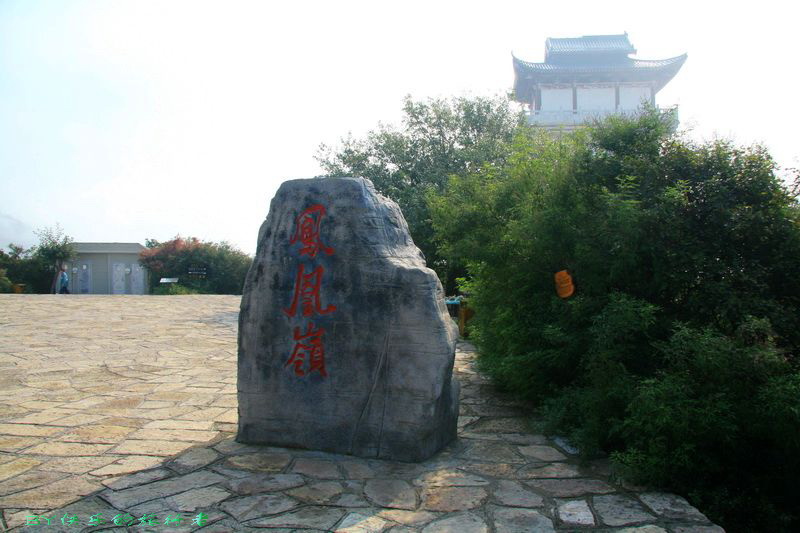 1565.jpg
