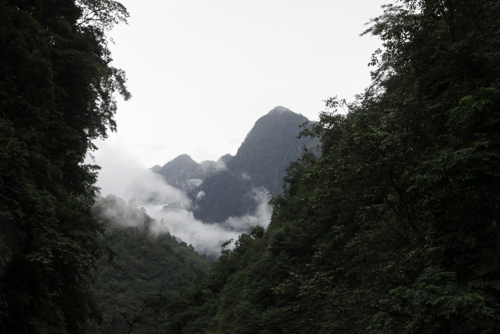 img_6411.jpg