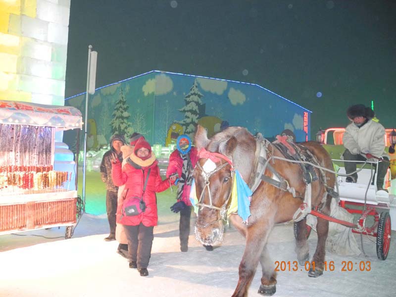 dscn2017.jpg