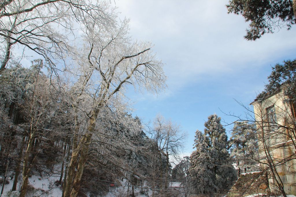 Ƭ 094.jpg