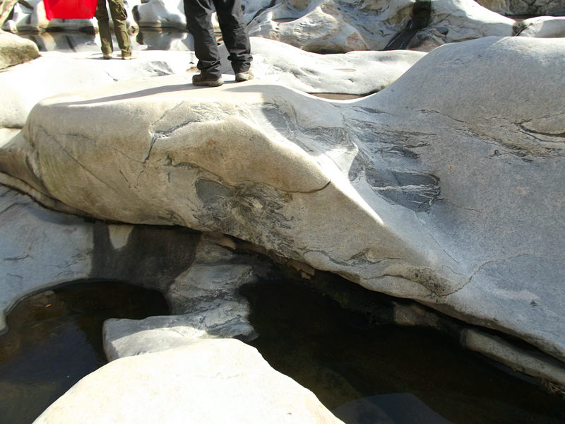 dscf0238_.jpg