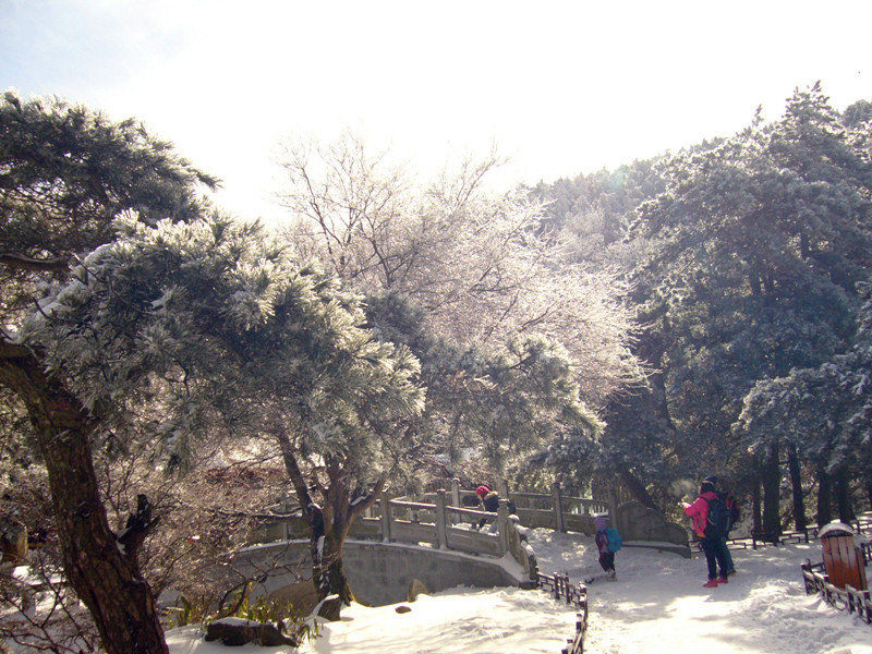 p1050196_.jpg