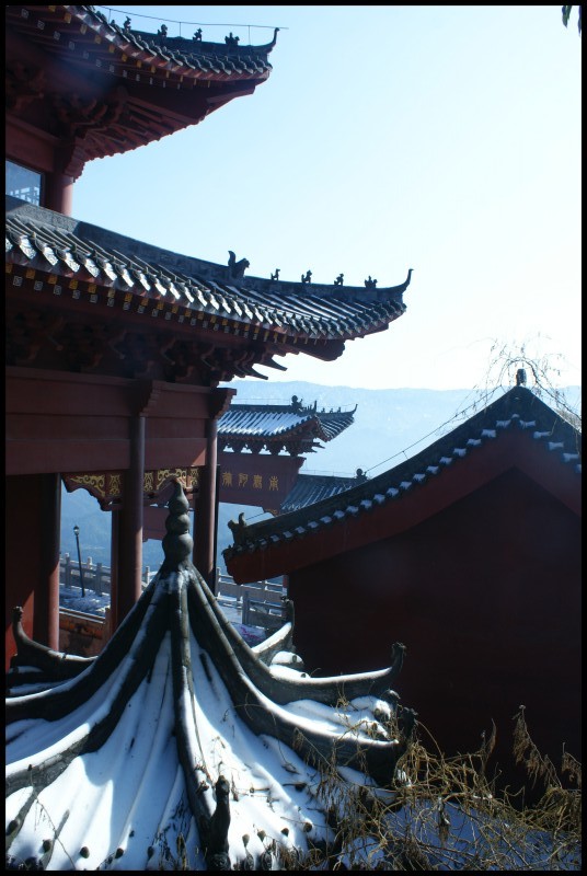 conew_dsc07889.jpg