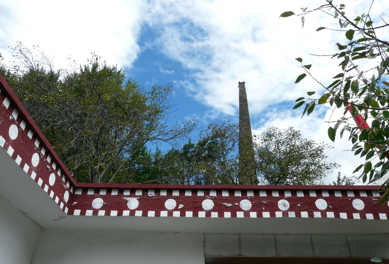 79.jpg