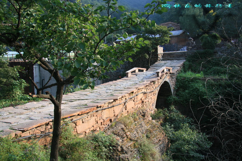 1035.jpg