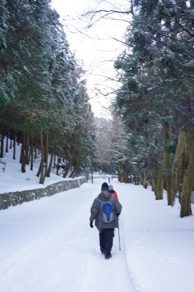 庐山164.jpg