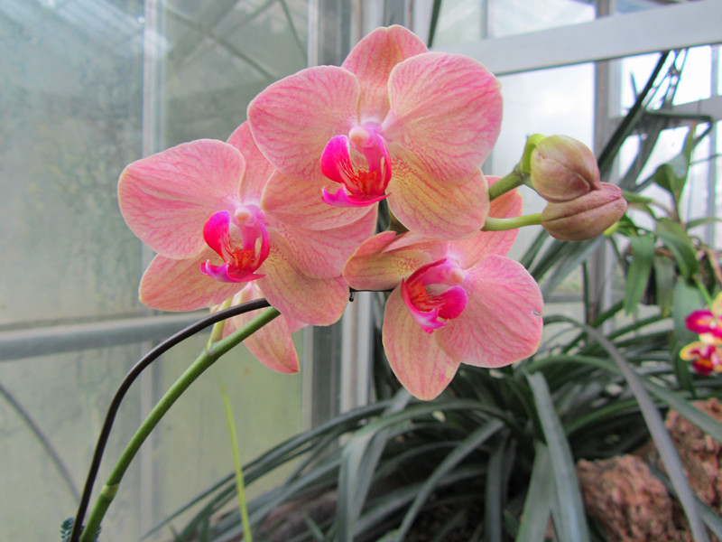 20130106 014_.jpg
