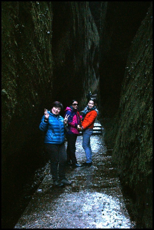 conew_dsc07997_conew1.jpg