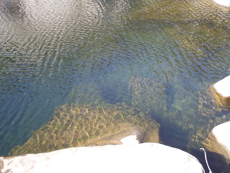 dscf0337_.jpg