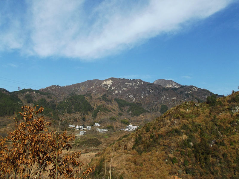 dscf0348_.jpg