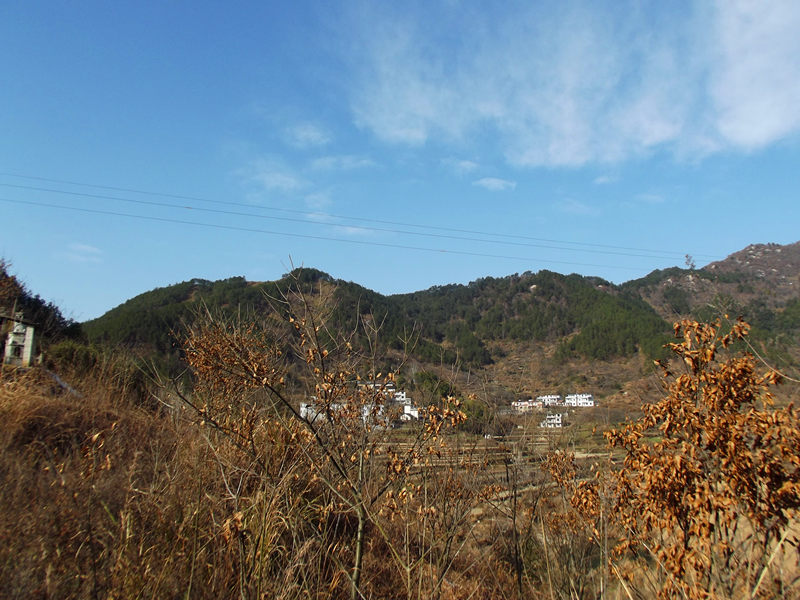 dscf0350_.jpg