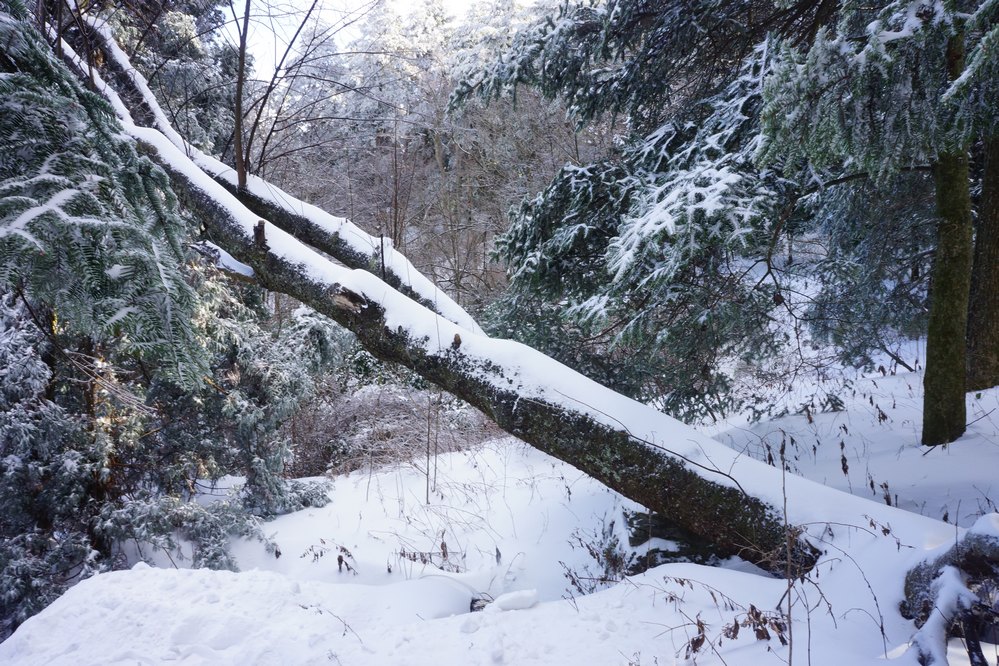 庐山192.jpg