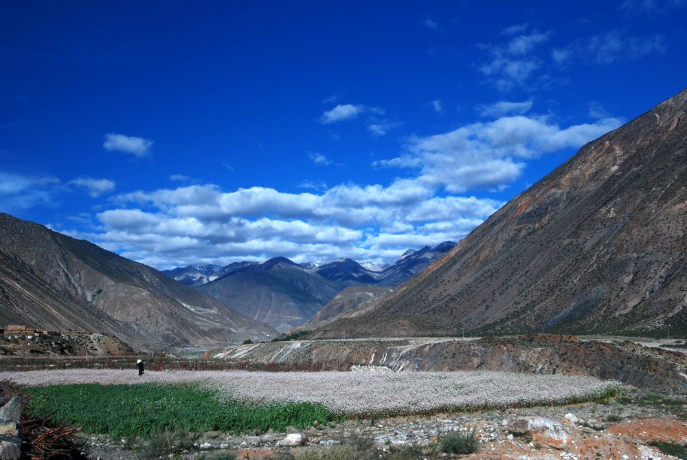 dsc_0884.jpg