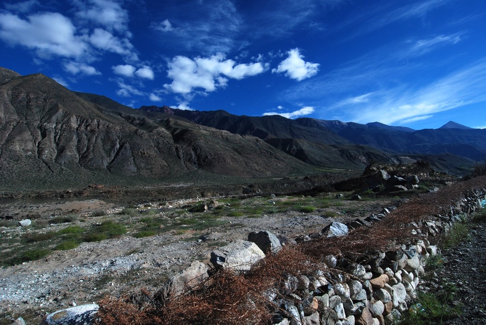 dsc_0885.jpg