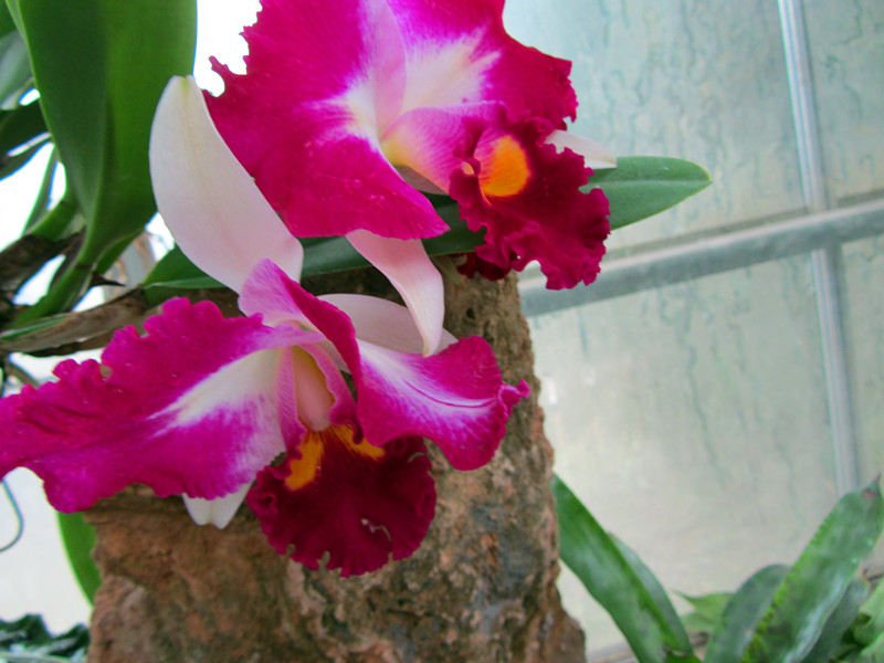 20130106 015_.jpg