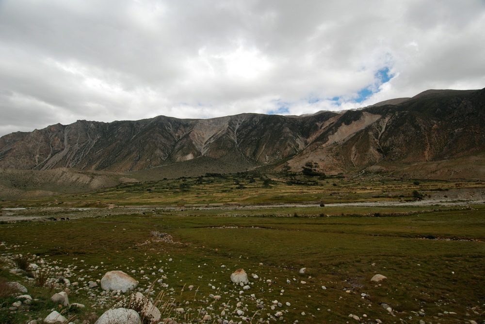 dsc_0925.jpg