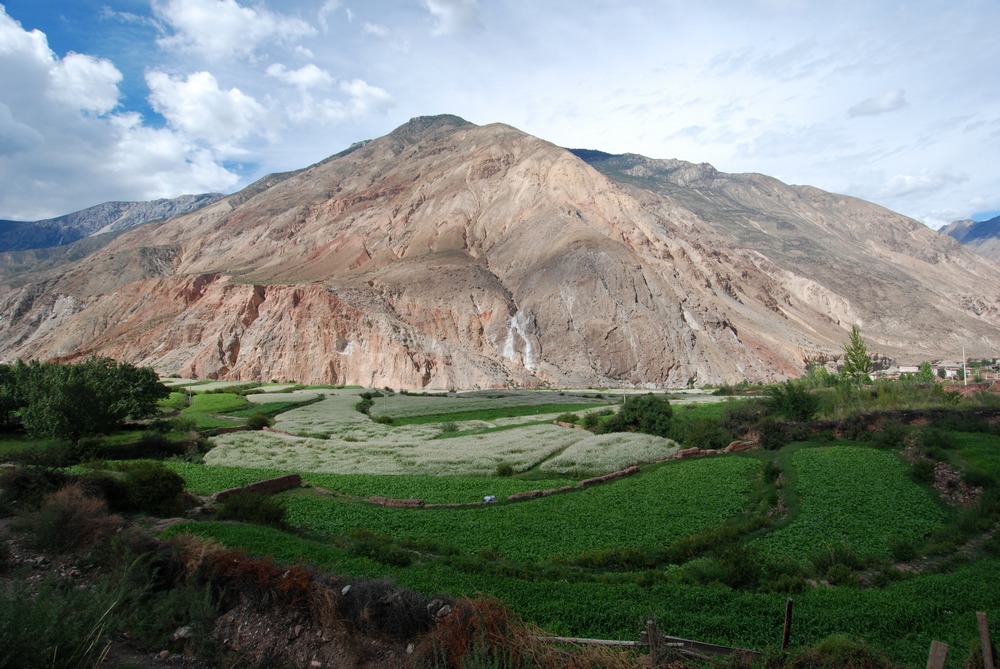dsc_0815.jpg
