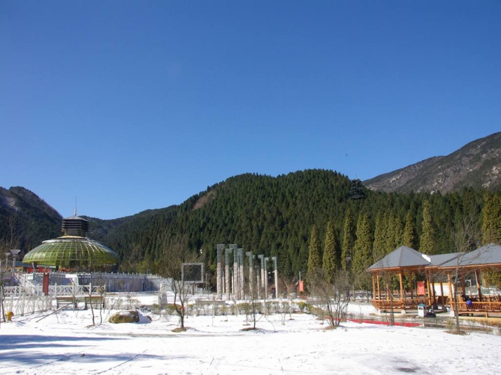 imgp960311.jpg