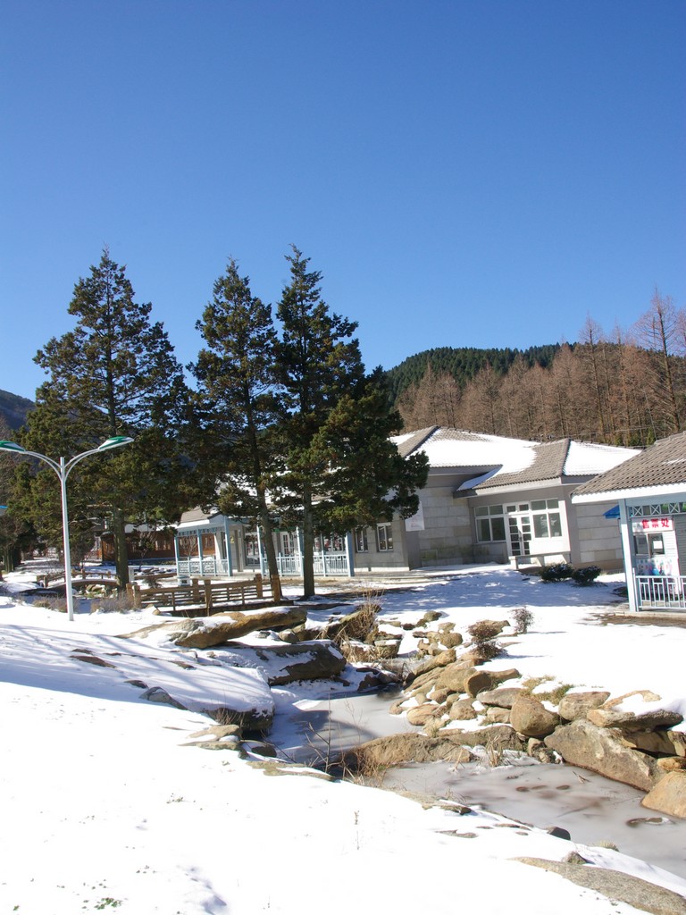 imgp95990.jpg