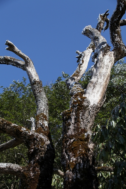Ƭ 082-1.jpg