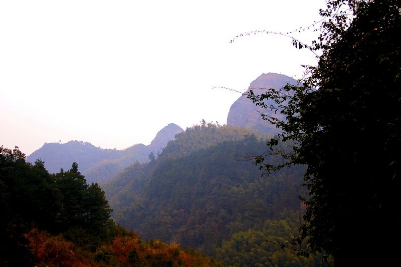 _mg_4316.jpg