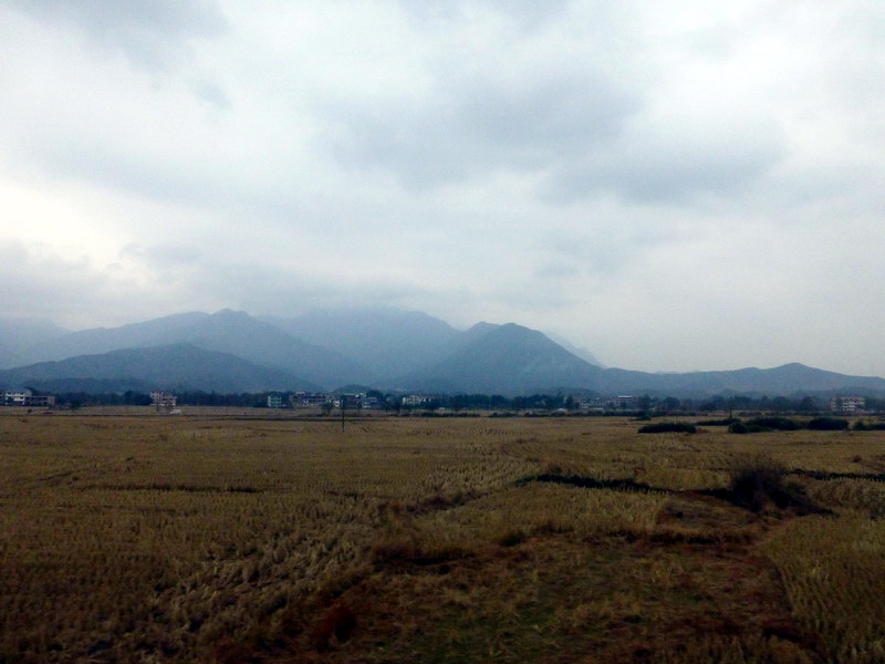 p1020010.jpg