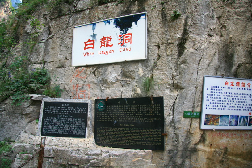 1110.jpg