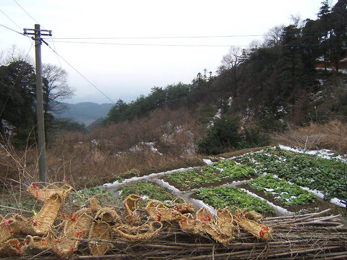 dscf1271.jpg