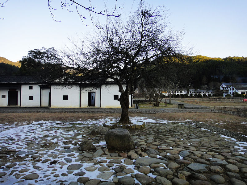 dsc08550.jpg