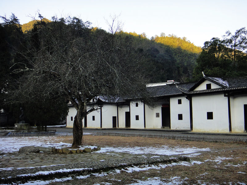 dsc08548.jpg