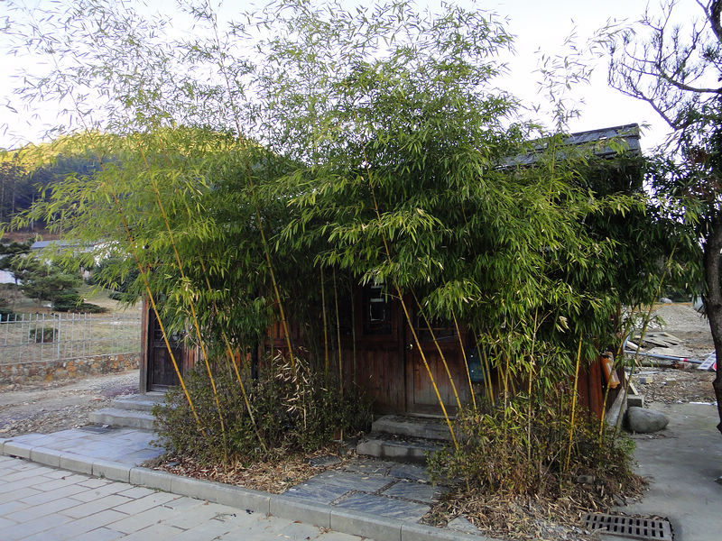 dsc08563.jpg