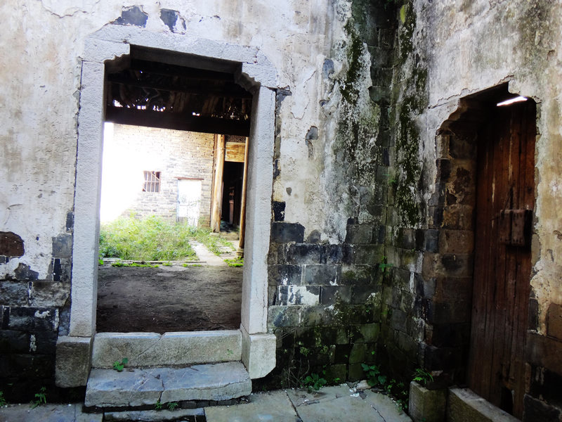 dsc03335.jpg