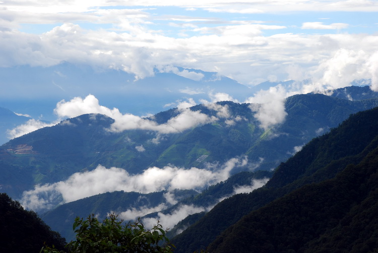 dsc_0374.jpg