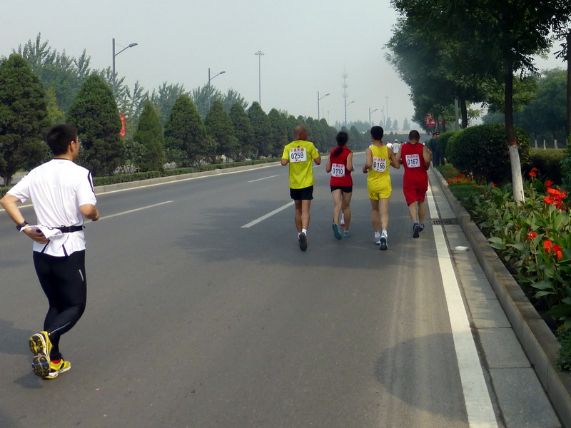 p1130153.jpg