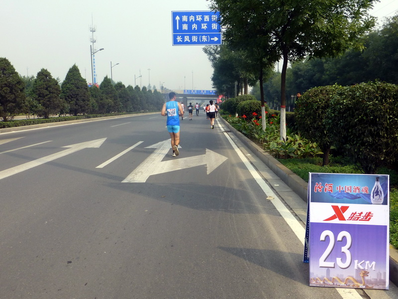 p1130154.jpg