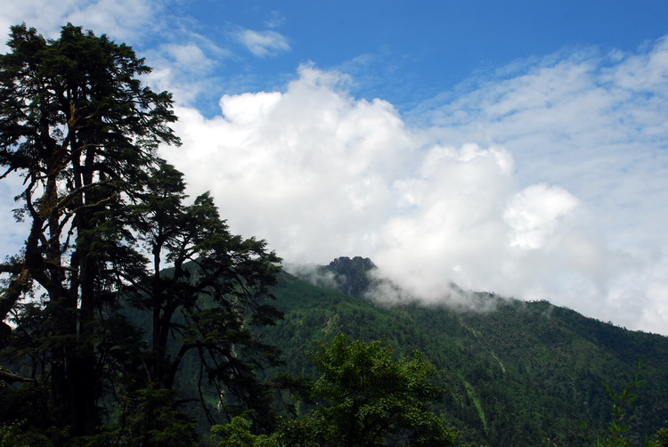 dsc_0647.jpg
