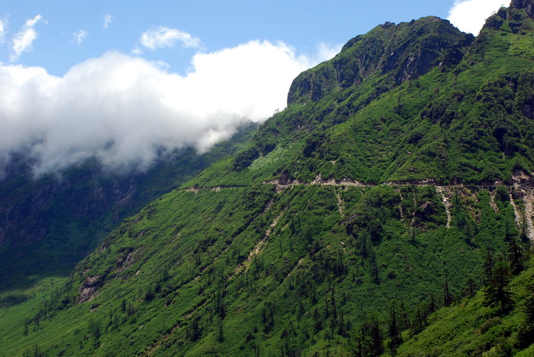 dsc_0664.jpg