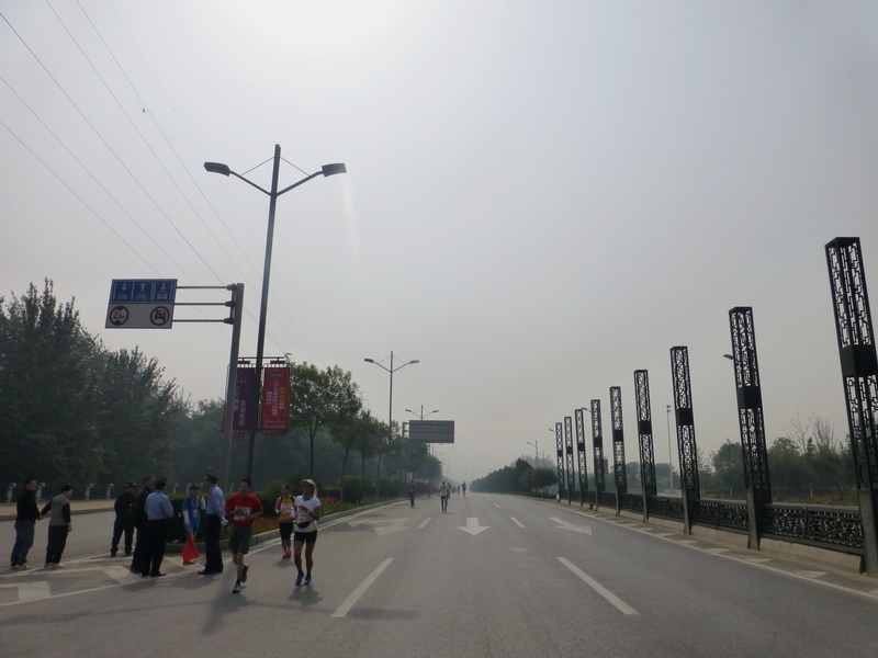 p1130163.jpg